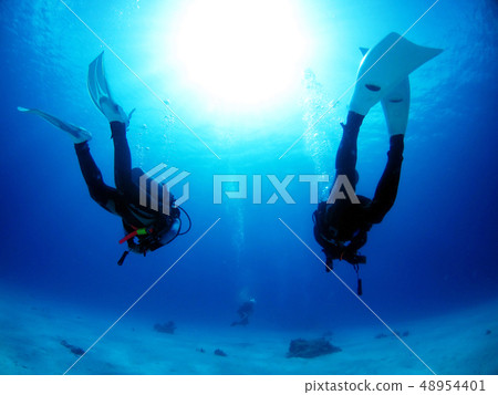 Scuba diving Good friend two people Zamami sea 48954401