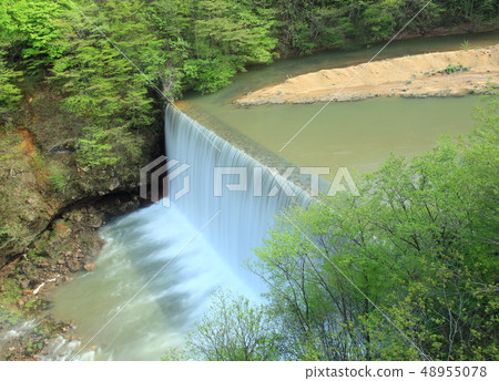 Fresh green Hachimantai 48955078