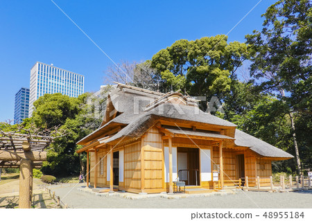 Japanese style house and high rise building 48955184