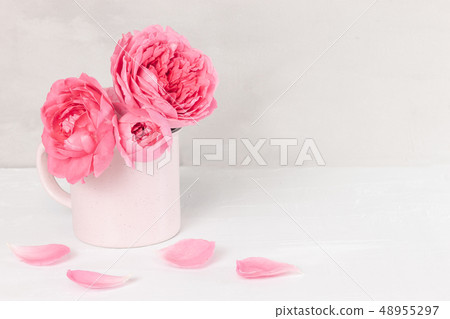 flowers flowers 48955297