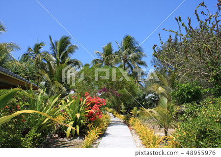 Image of a resort in New Caledonia Image of a resort in New Caledonia 48955976
