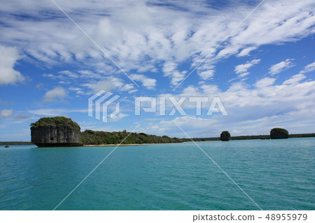 Emerald Green Sea on New Caledonia Ildepan Island 48955979
