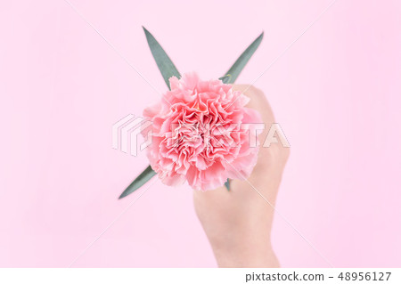 Mother's Day Yasuno Kaoru Sending Flower 卡片 汫Soft Carnation Top View mother's day Mother's Day Yasuno Kaoru Sending Flower 卡片 汫Soft Carnation Top View mother's day 48956127