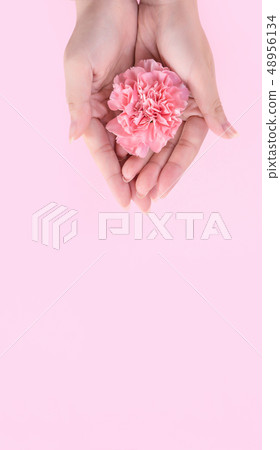 Mother's Day Yasuno Kaoru Sending Flower 卡片 汫Soft Carnation Top View mother's day 48956134