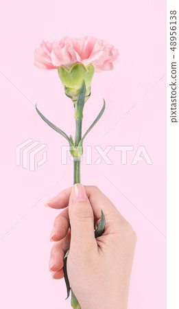 Mother's Day Yasuno Kaoru Sending Flower 卡片 汫Soft Carnation Top View mother's day Mother's Day Yasuno Kaoru Sending Flower 卡片 汫Soft Carnation Top View mother's day 48956138