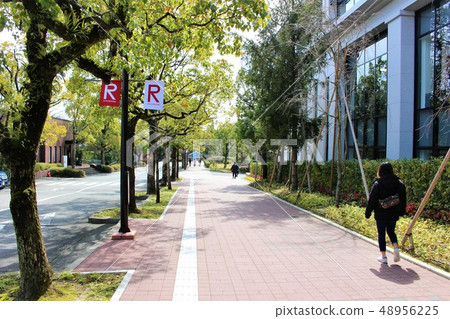 立命館大學 48956225