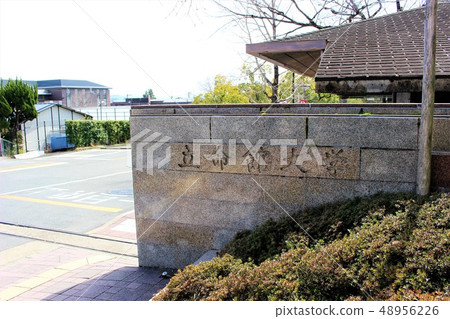 立命館大學 48956226