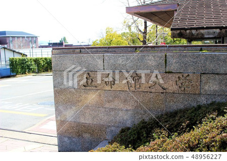 立命館大學 48956227