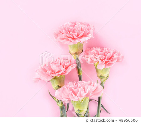 Mother's Day Yasuno Kaoru Sendoku 卡片 graceful carnation top view mother's day 48956500