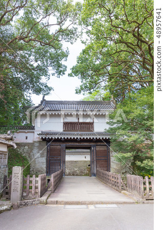 Hiei城堡在夏天 48957641