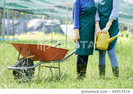 Women working on farm Women working on farm 48957819