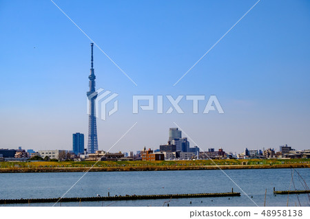 Sky Tree from Arakawa and Tokyo Sky Tree from Arakawa and Tokyo 48958138