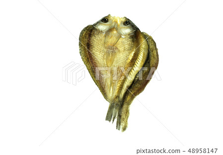 salty dried fish on white background 48958147