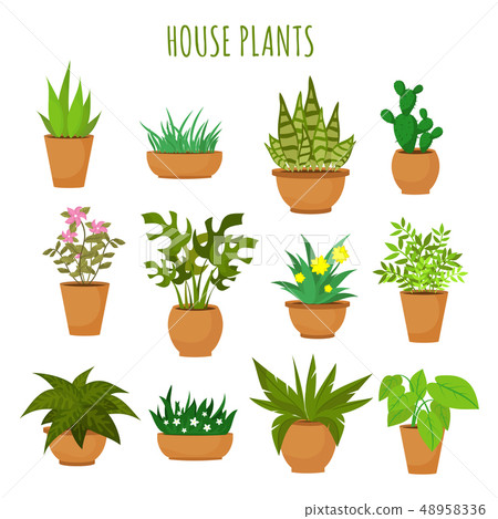 Indoor house green plants and flowers isolated on white vector set 48958336