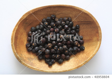 "Herb" Juniper "Herb" Juniper 48958604
