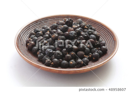 “草藥”杜松 48958607