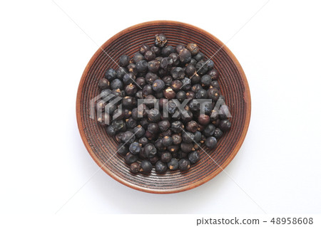 “草藥”杜松 “草藥”杜松 48958608