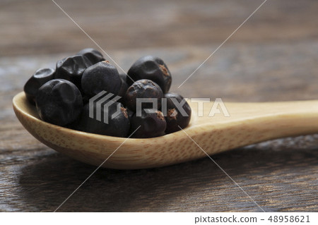 "Herb" Juniper 48958621