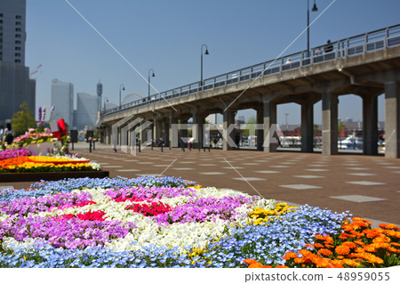 Yokohama Yokohama 48959055