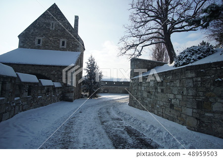 多瑙河珍珠布達佩斯（匈牙利） 48959503