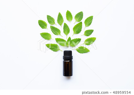 Essential oil with fresh mint leaves on white Essential oil with fresh mint leaves on white 48959554