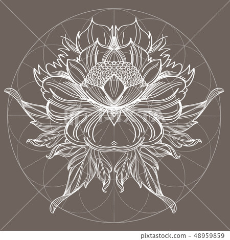 Elegant element of a stylized flower with smooth lines. Stylized floral element for design. 48959859