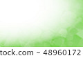 Image background / green 48960172
