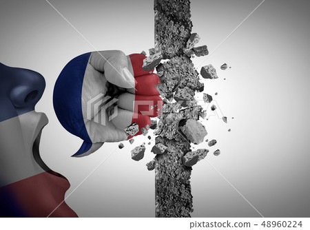 Protest In France Protest In France 48960224