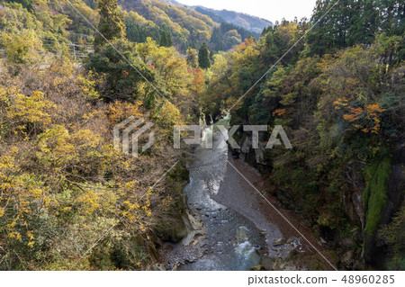 View of the autumn leaves from the Tottori gorge Furobashi 48960285