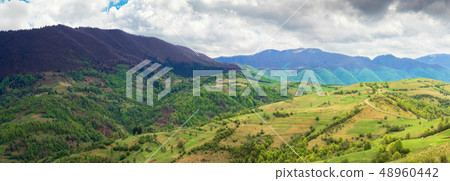 countryside of panorama in springtime. countryside of panorama in springtime. 48960442
