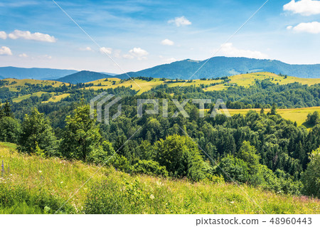 mountainous countryside on a hot summer afternoon mountainous countryside on a hot summer afternoon 48960443