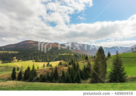 beautiful springtime landscape in mountains 48960459