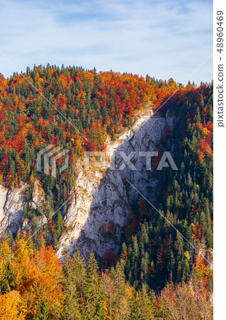 forested mountain with cliff in autumn 48960469