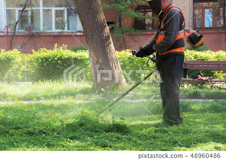 professional lawn mowing service in the park professional lawn mowing service in the park 48960486