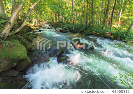 cascades on the forest river in springtime cascades on the forest river in springtime 48960511