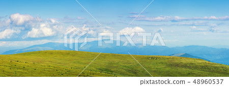 panorama of a mountain landscape in summer 48960537