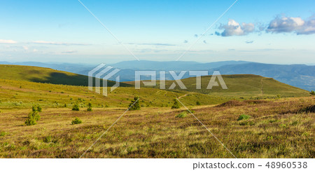 panoramic summer landscape in mountain 48960538