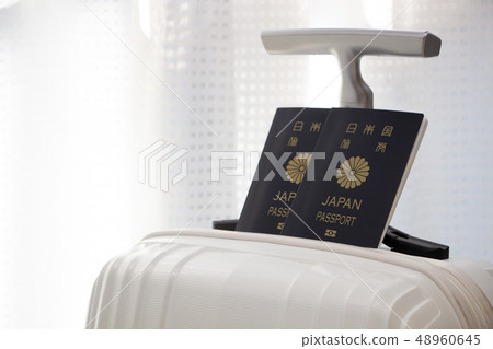 海外旅行護照便攜箱 48960645
