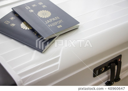 海外旅行護照便攜箱 海外旅行護照便攜箱 48960647