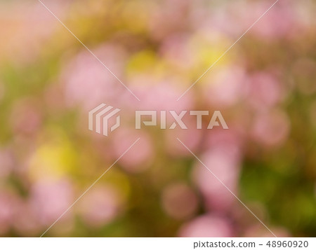 與離群焦點，bokeh的抽象背景 48960920