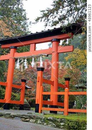 秋天Niyuu寺廟賣寺廟 秋天Niyuu寺廟賣寺廟 48961123