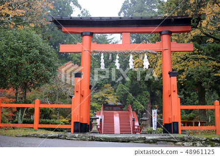 Autumn Niyuu shrine selling shrine Autumn Niyuu shrine selling shrine 48961125