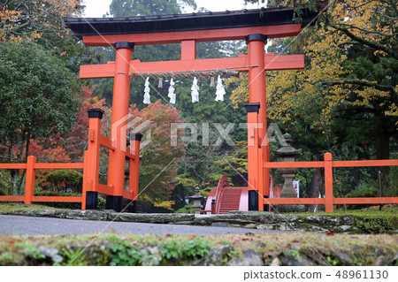 秋天Niyuu寺廟賣寺廟 秋天Niyuu寺廟賣寺廟 48961130