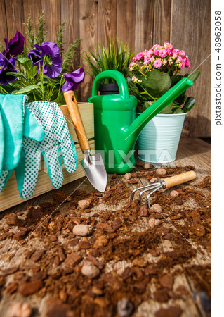 Gardening tools and flowers 48962058