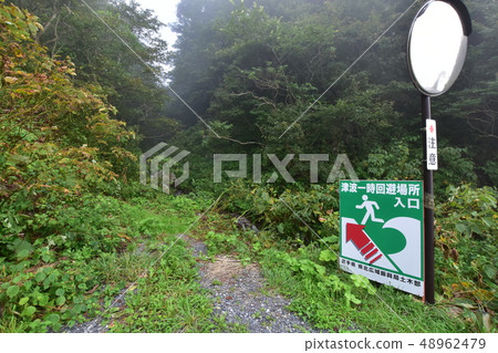 Kuji-road scenery of Kosode fishing port Kuji-road scenery of Kosode fishing port 48962479