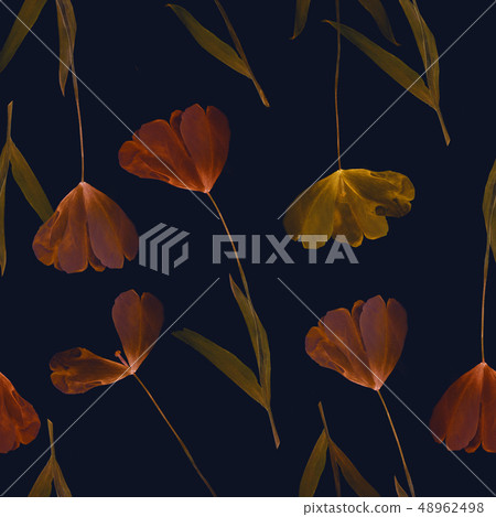 Pressed and dried tulip flower on a blue bohemian background 48962498