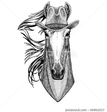 Horse, hoss, knight, steed, courser wearing cowboy hat. Wild west animal. Hand drawn image for 48962637