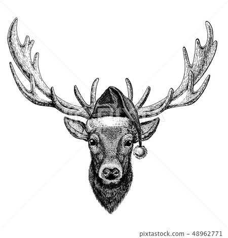 Deer wearing christmas Santa Claus hat. Hand... - Stock Illustration ...