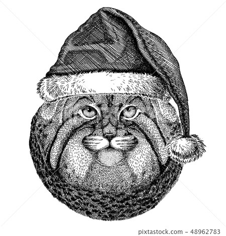 Wild cat Manul wearing christmas Santa Claus hat. Hand drawn image for tattoo, emblem, badge, logo Wild cat Manul wearing christmas Santa Claus hat. Hand drawn image for tattoo, emblem, badge, logo 48962783
