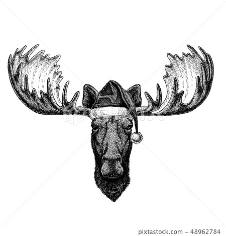 Moose, elk wearing christmas Santa Claus hat. Hand drawn image for tattoo, emblem, badge, logo Moose, elk wearing christmas Santa Claus hat. Hand drawn image for tattoo, emblem, badge, logo 48962784